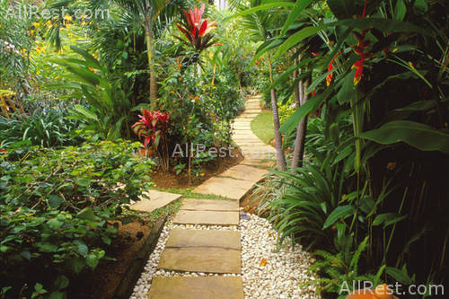 Rocky Resort 8